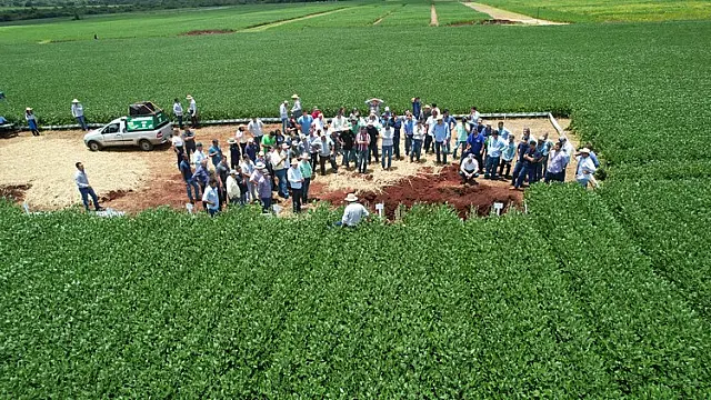 Em Ponta Porã, Fundação MS apresenta trabalhos de pesquisa focados nos desafios do agricultor