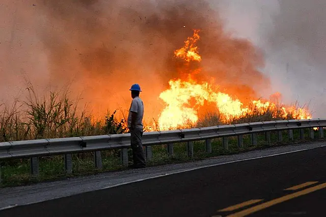 Incêndio no Pantanal compromete até mesmo atendimento em delegacias