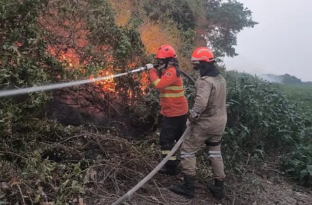 Incêndios florestais se intensificam em biomas de MS