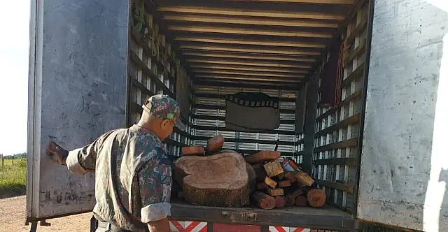 Motorista é autuado por transporte ilegal de madeira nativa