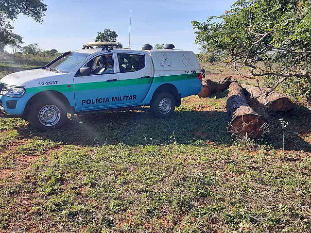 PMA autua infrator por exploração de madeira em área de floresta protegida