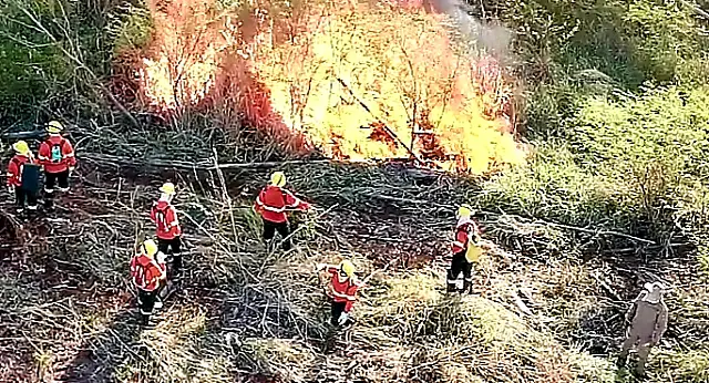 Ações dos bombeiros reduzem em 81% focos de calor no Pantanal