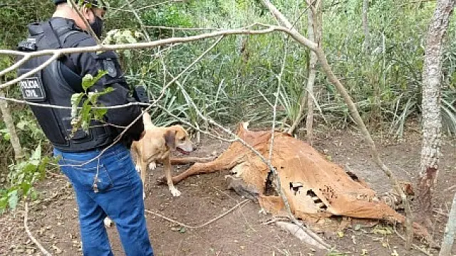 Operação da Polícia Civil cumpriu mandado de prisão e abordou 45 pessoas em Corumbá e Ladário