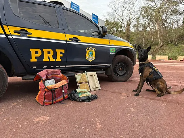 Cães farejadores PRF apreende cocaína em Corumbá