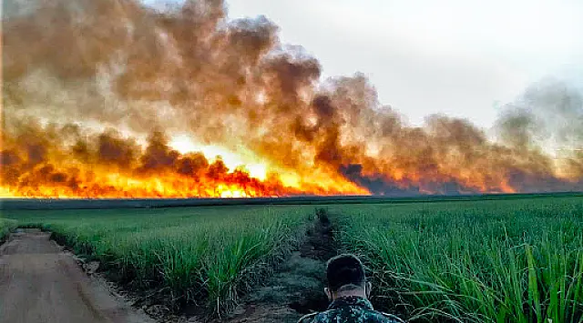 Brigadista quer usar prêmio do The Wall na prevenção aos incêndios em Corumbá