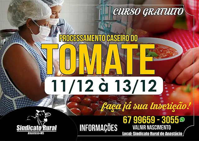 Curso de processamento caseiro de tomate começa nesta segunda-feira