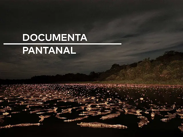 Projeto "Documenta Pantanal" foca na divulgação de produções pantaneiras