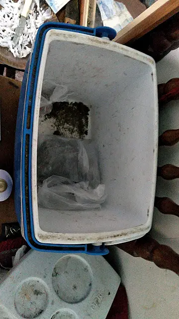 Jovem é preso tentando viajar com droga em Porto Murtinho