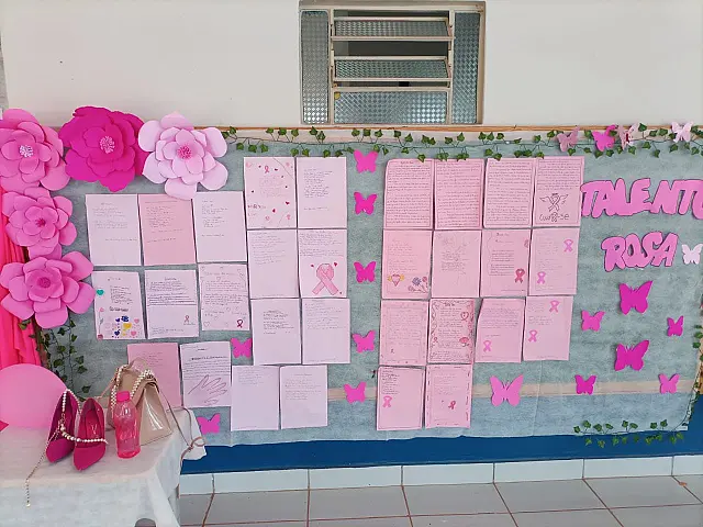 Escola Municipal participa do Projeto Talento Rosa