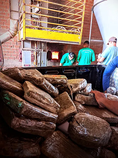 Quase três toneladas de drogas são incineradas pela Polícia Civil de Caarapó