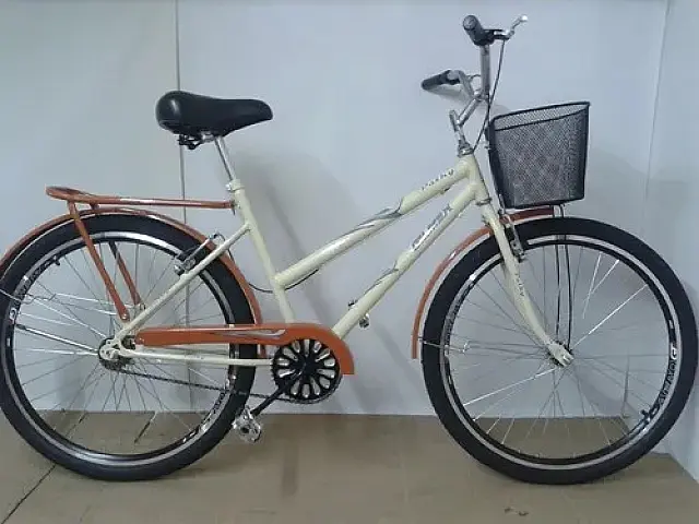 Vítima faz boletim de ocorrência para recuperar bicicleta furtada, em Jardim