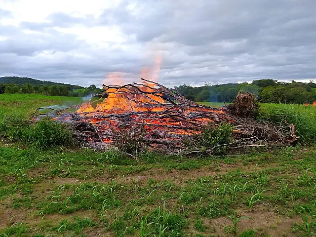 Pecuarista é multado em R$ 2 mil por incêndio em restos de vegetação