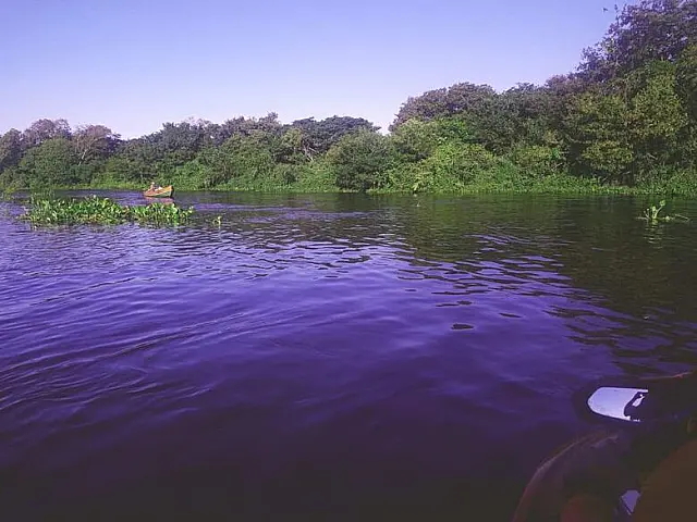 Idoso morre após se afogar na frente da esposa no Rio Paraná, em Anaurilândia