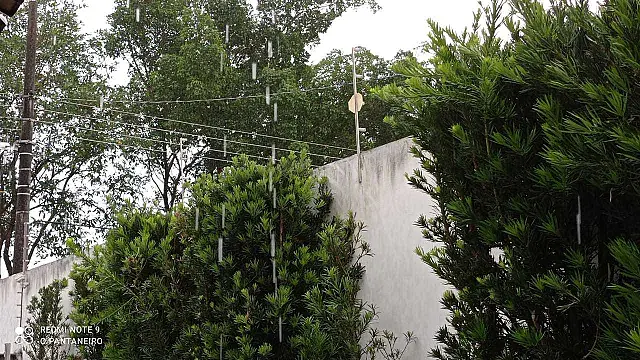 Sexta-feira amanhece com chuva em Aquidauana e dia deve ser nublado