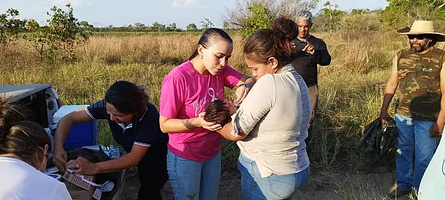 SESAU aplica quase 200 doses de vacinas em ação nas fazendas de Aquidauana