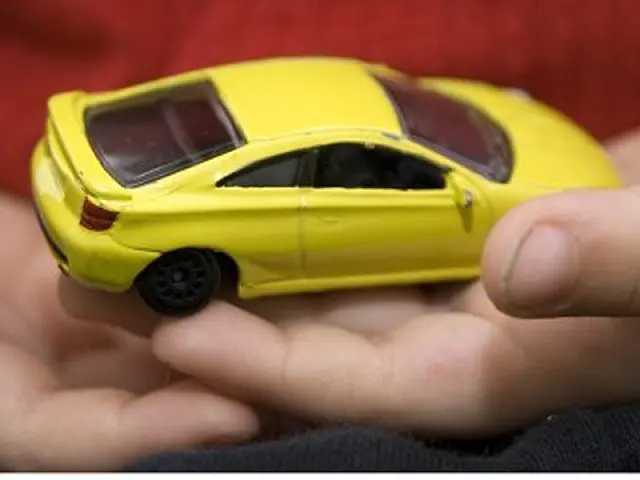 NASF arrecada brinquedos para o Dia das Crianças