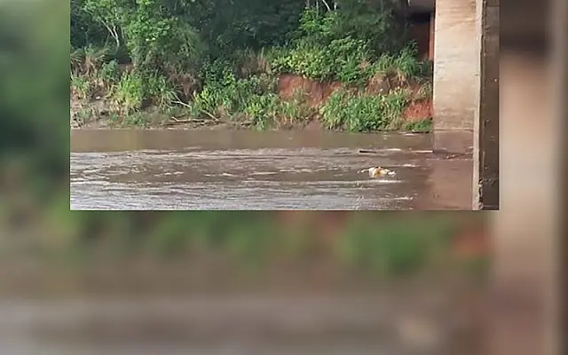 Polícia Civil investiga morte de homem cujo corpo foi encontrado no rio Miranda