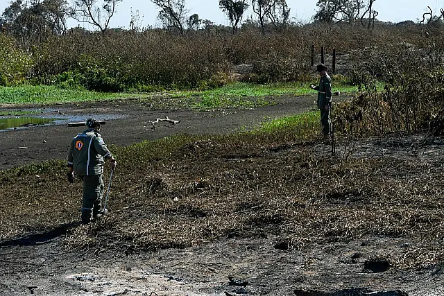 Gretap monitora áreas queimadas em busca de animais feridos