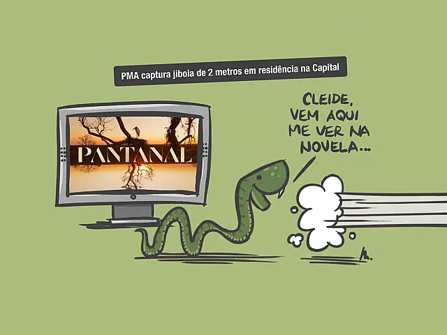 Visita