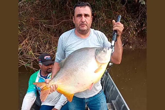 Pescador fisga pacu de 12 quilos no Rio Aquidauana