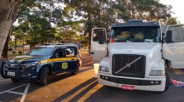 PRF apreende 83,5 kg de cocaína, armas e munições na BR-262