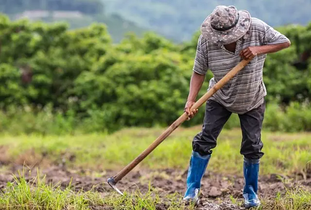 Fundect divulga resulta do edital de Extensão Tecnológica para agricultores familiares