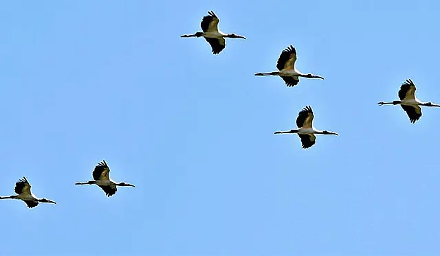 Feriado será de céu aberto e ensolarado em Aquidauana