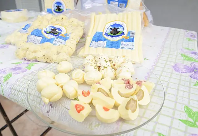 Fabricação de queijos de Aquidauana é destaque em sabor e qualidade