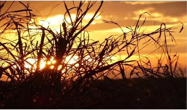 Mato Grosso do Sul deve ficar sem chuva até dia 13