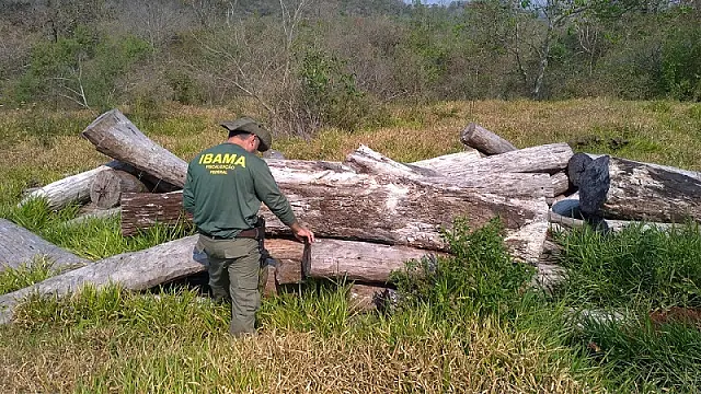 Operação Mata Atlântica em Pé fiscalizou áreas do Pantanal de MS