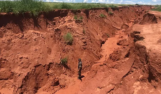 PMA autua arrendatário por crime ambiental