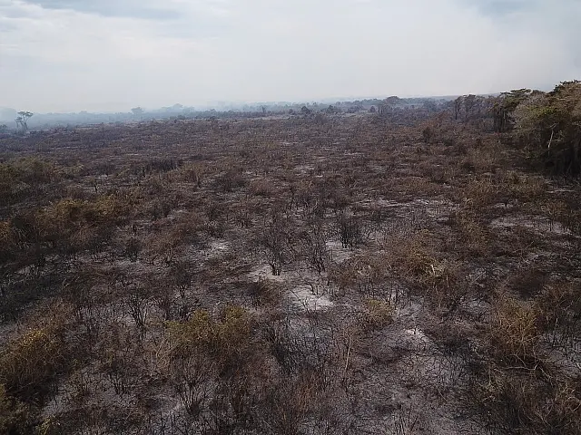 Incêndio destrói 3 hectares no Pantanal e responsável é multado
