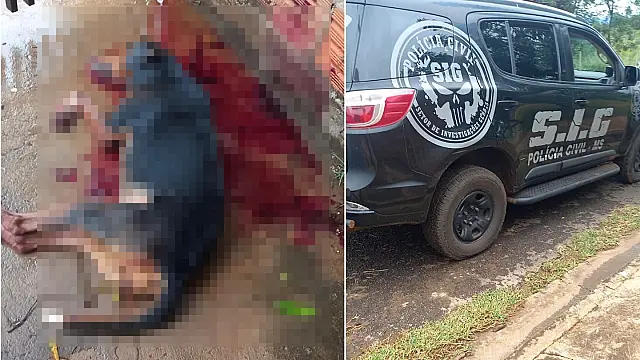 Polícia Civil busca autor de disparos contra homem e cachorra no Cristo Rei