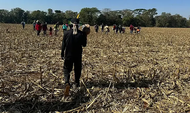 Comitiva federal visita áreas de conflitos indígenas em MS