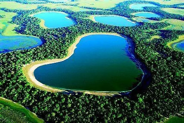 Pantanal do MS é destaque no Fórum Mundial da Água, em Brasília