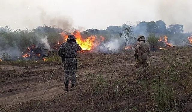 Sem previsão de chuvas no Pantanal, combate aos focos de calor se intensifica
