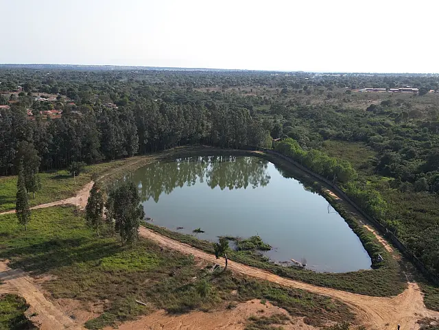 Simasul Siderúrgica tem um compromisso com o meio ambiente