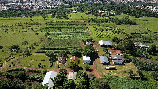 Estado implanta laboratório de análise de alimentos para fomentar a produção leiteira