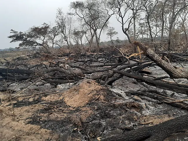 PMA autua fazendeira em R$ 56 mil por queimada no Pantanal de Rio Negro