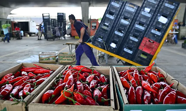 89% dos vegetais comercializados são seguros para consumo