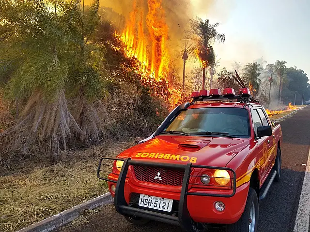 Incêndio na BR-419 assusta bombeiros e fazendeiros da região