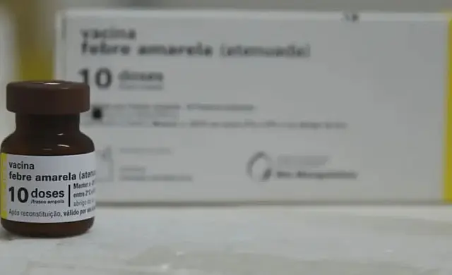 MS não registra casos de febre amarela em humanos há dez anos