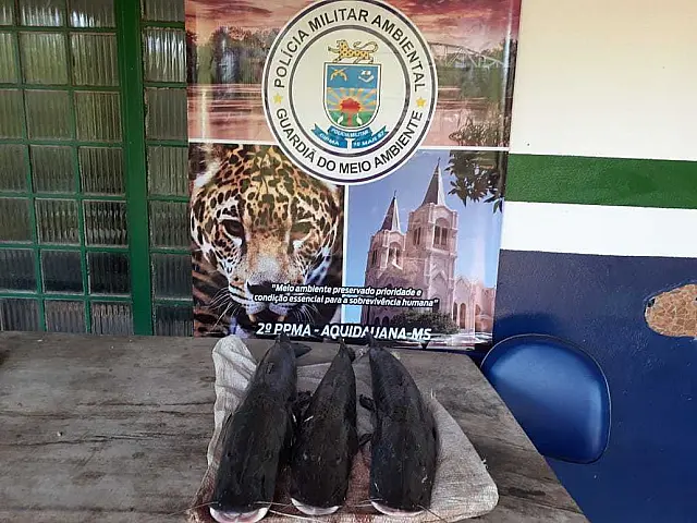 PMA de Aquidauana prende 2 por pesca predatória em Camisão