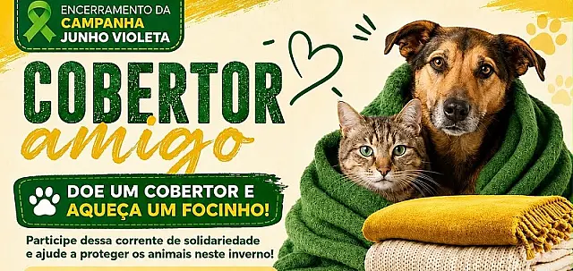 Campanha arrecadará cobertores para ajudar cães e gatos em Aquidauana