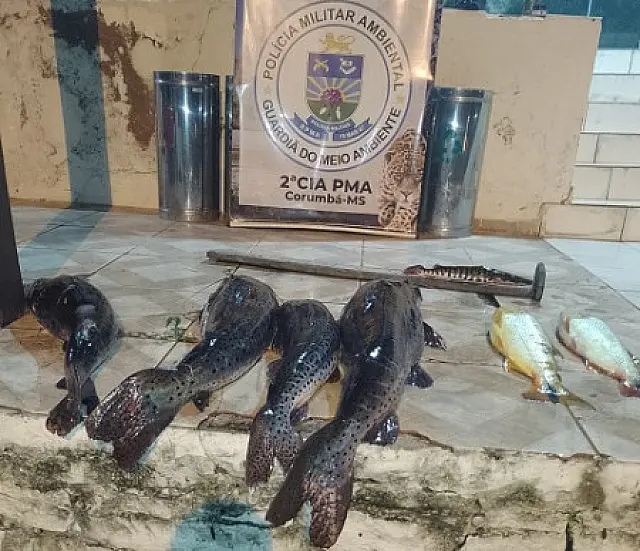 PMA apreende pescado abandonado no rio Paraguai