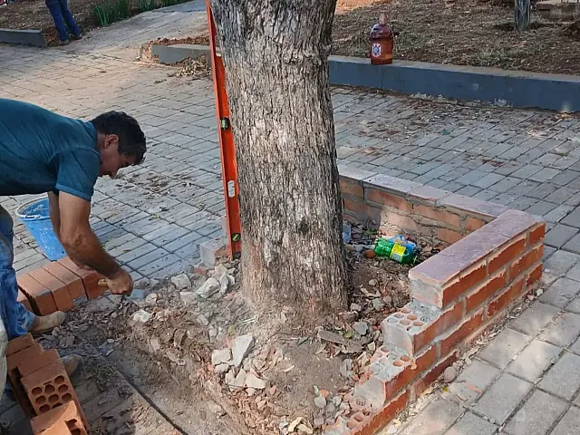 Bonito realiza manutenção em canteiros e drenagem pluvial na região central