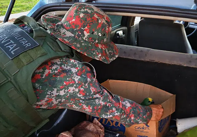 PMA apreende homem transportando filhotes de papagaio de forma ilegal