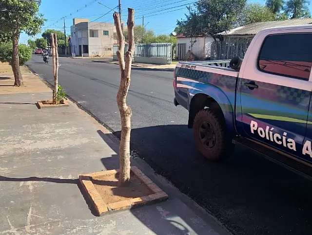 PMA de Aquidauana autua comerciante por poda radical de árvores