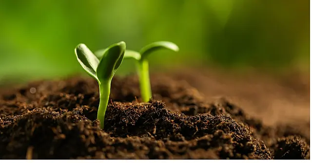 Câmara Temática de Agrocarbono Sustentável começa em março