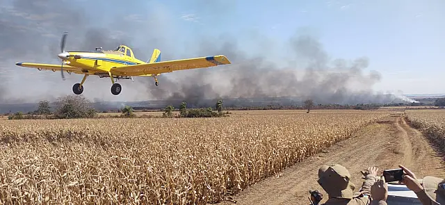 Queimadas no Pantanal mobilizam 510 homens e 6 aviões